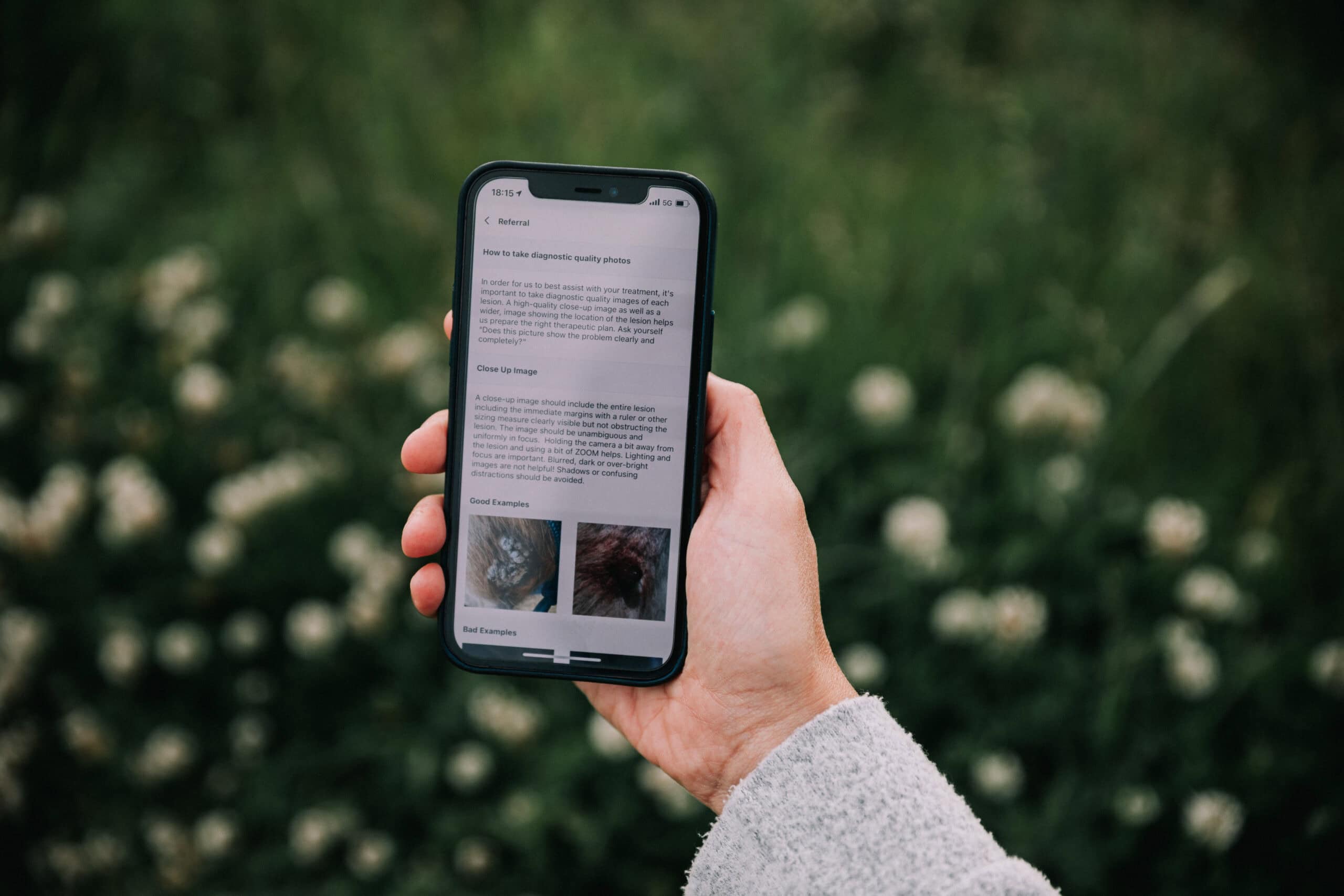 equine medical solutions